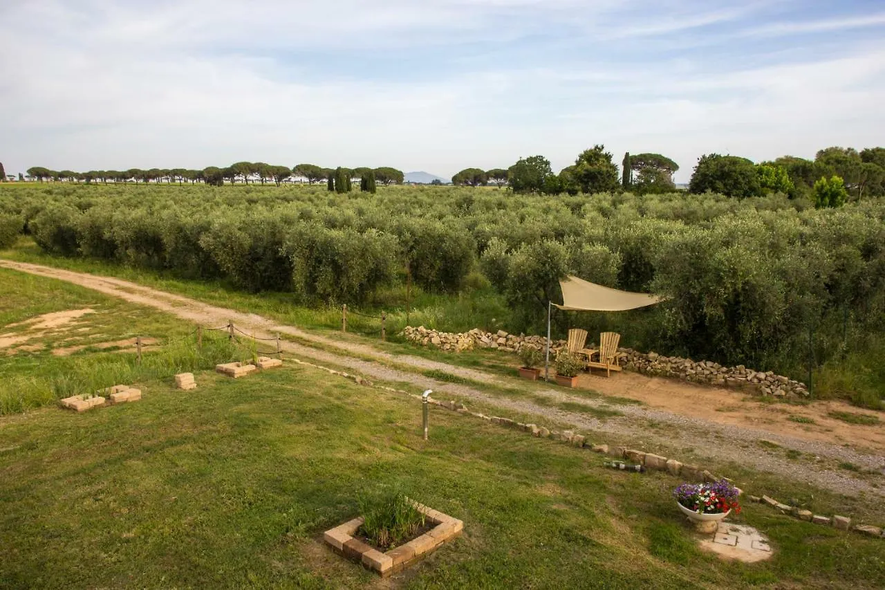 Alloggio per agriturismo Azienda Agricola Podere San Girolamo Villa Fattoria Badiola