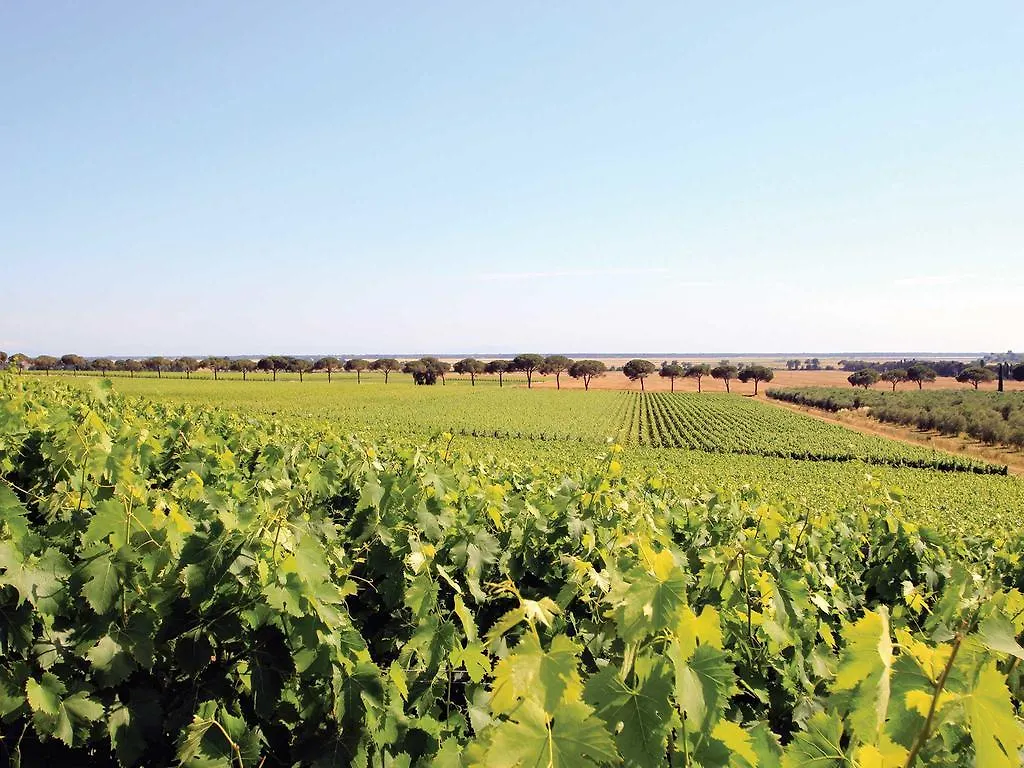 Azienda Agricola Podere San Girolamo Villa Fattoria Badiola Italien