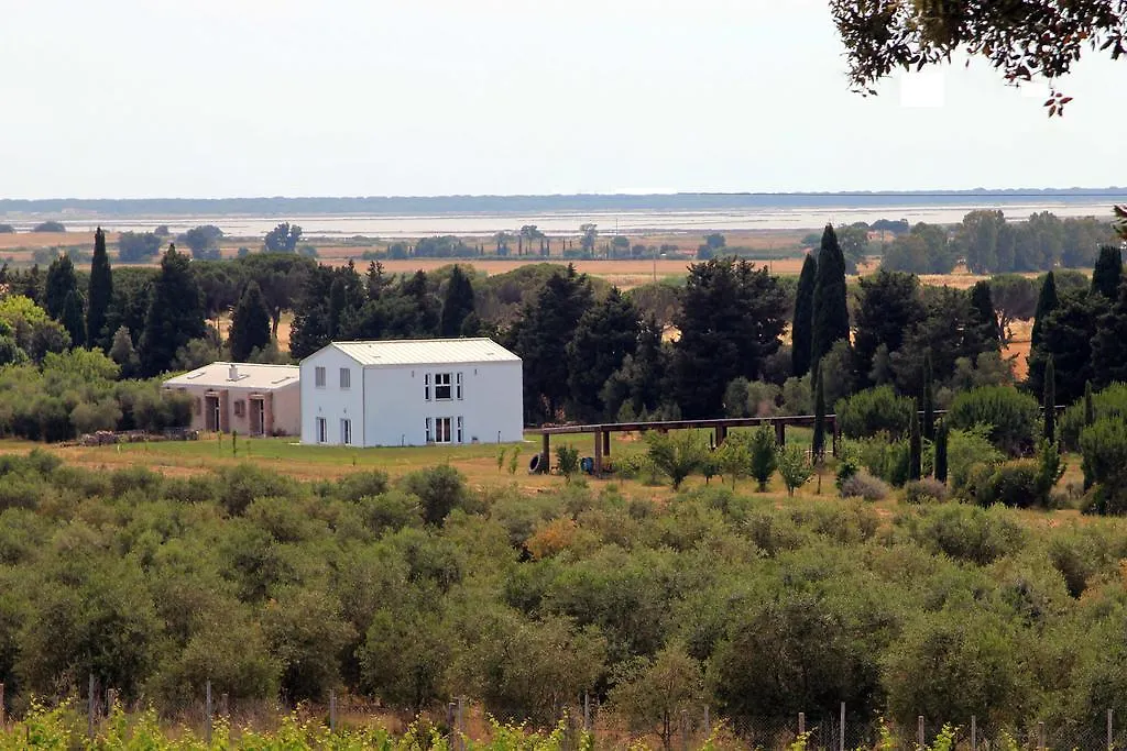 Azienda Agricola Podere San Girolamo Villa Fattoria Badiola Lantgård